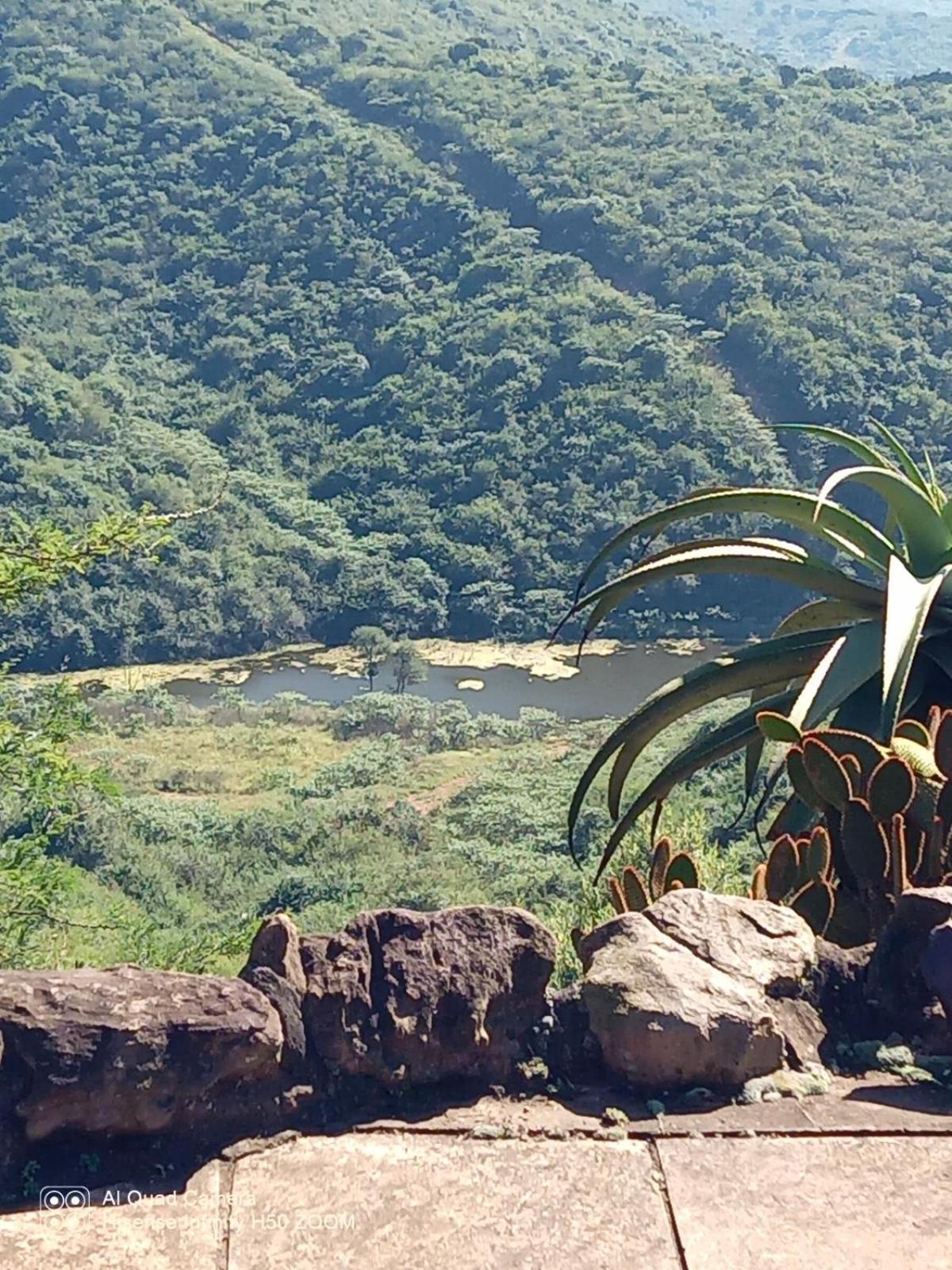 Leopards And Louries Bush Lodge Camperdown Εξωτερικό φωτογραφία