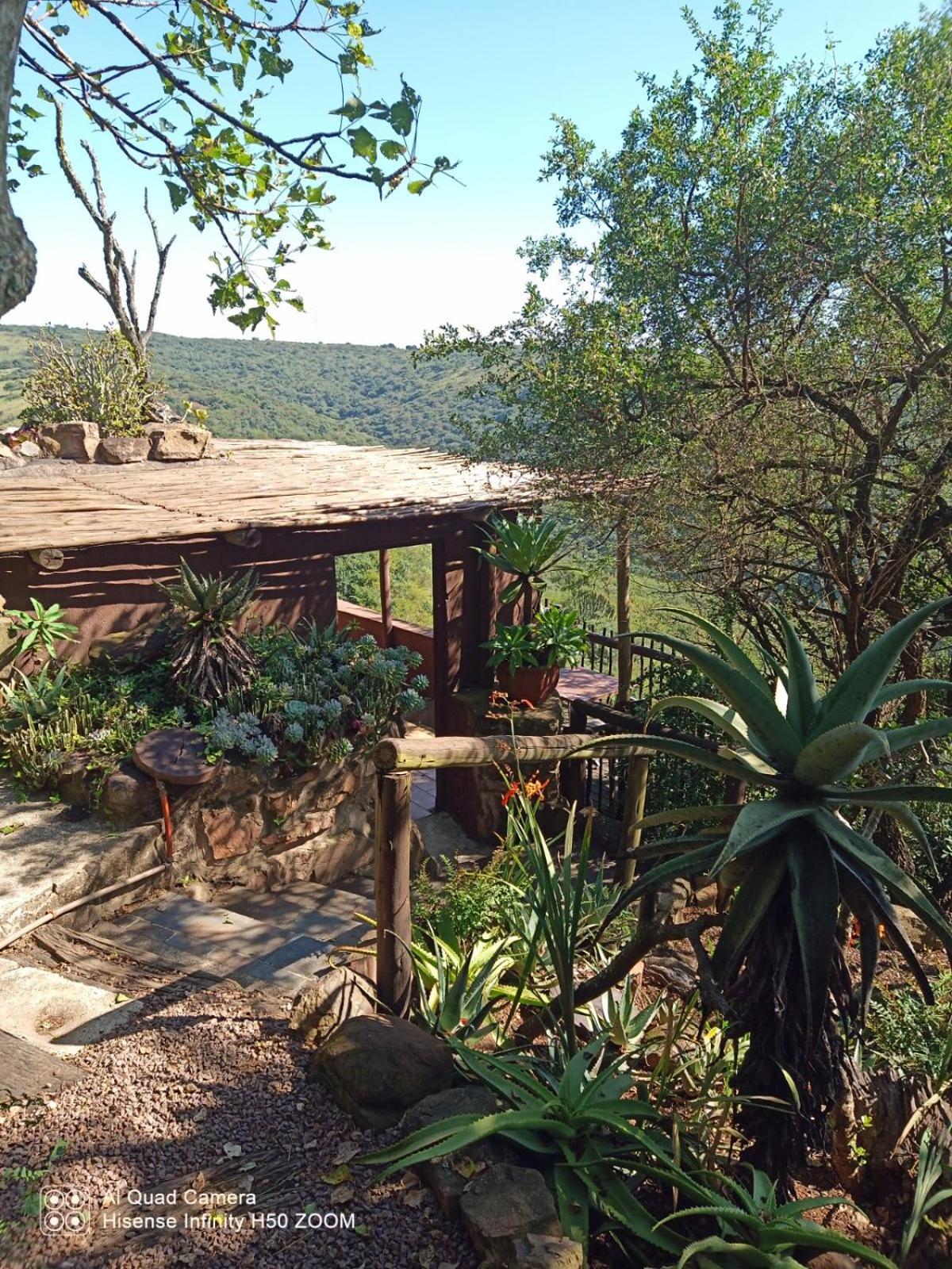 Leopards And Louries Bush Lodge Camperdown Εξωτερικό φωτογραφία